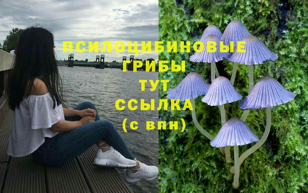 каннабис Нязепетровск