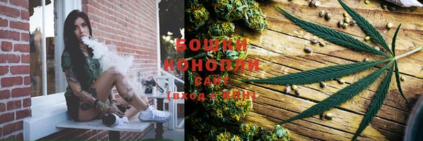 spice Новозыбков