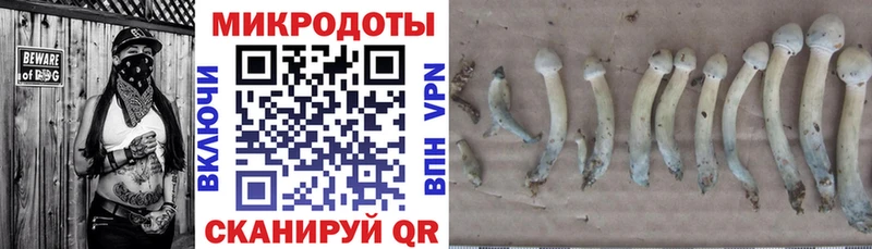 kraken зеркало  Инсар  Галлюциногенные грибы GOLDEN TEACHER  магазин продажи  